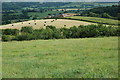 Pant-y-maen viewed from Town Hill