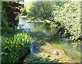 2010 : River Wylye downstream, Longbridge Deverill