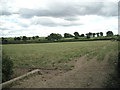 Fields north of Glebe Farm