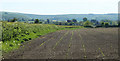 ST8841 : 2010 : Field near Long Ivor Farm by Maurice Pullin