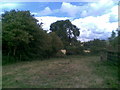 Footpath to Dodford