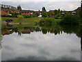 Pool on housing estate