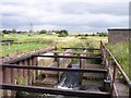 Weir on Newton Brook