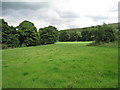 Field by the River Don at Millhouse Green