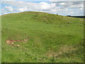 NY8169 : (Remains of a) lime kiln and quarry east of Moss Kennels by Mike Quinn