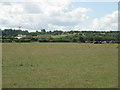 Roofs of Red Hill Farm