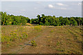 Field south of Barrow Green Farm