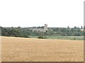 Barley Field