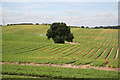 Blidworth farmland