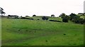 Undulating landscape between Kilcoo and The Square