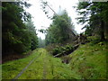 SH7107 : Forest track and windblown timber below Mynydd Cedris by Richard Law