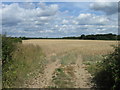 SU4500 : Field near Stanswood Farm by Alex McGregor