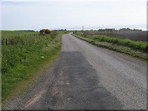 NO8889 : Road heading to Auquorthies by Shaun Ferguson