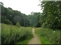 Footpath  - Hepworth Road