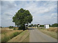 Great Hale Drove Level Crossing (No. 2)