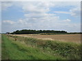 Looking towards White House Farm