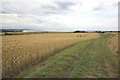 View towards Brough House Farm