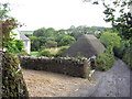 Hamlet with a thatched barn, near Mothecombe