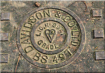 J1246 : Manhole cover, Banbridge by Albert Bridge