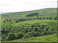 Middle Hope valley above Westgate