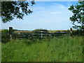 Field entrance on minor road to East Heslerton Wold