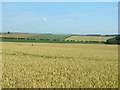 Farmland near Summit Farm