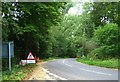 Skirting Downsland Copse