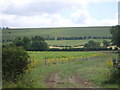 Farm track, West Heslerton