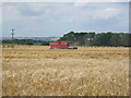 Farmland, East Knapton