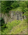 Old quarry face near Fallgate