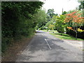 North on Roundals Lane towards Hambledon