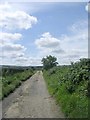 Track alongside Cricket Field - Chapelgate