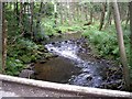 Upstream Kirkney Water