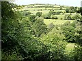 Tullyree Hill from near the King