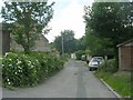 Footpath - Dunford Road