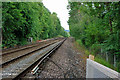 Horsham - Dorking railway at bridleway crossing