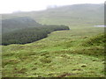 NG8013 : Hillside of Beinn Mhialairigh by Chris Wimbush