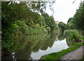 Chesterfield Canal, Chesterfield