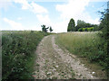 Track near Home Farm House 