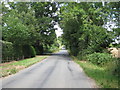 Lane past Buckham Hill Farm