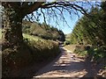 Lane to Lambridge Farm