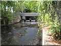 Weir on the River Crane