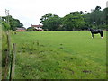 Nursery Farm from the footpath to Codsall