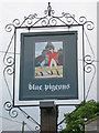 Blue Pigeons sign