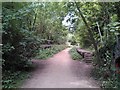 The derelict Crouch End station, Parkland Walk