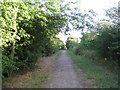 Bridleway leading to A161