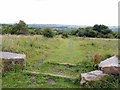 Walbottle Brickworks Local Nature Reserve