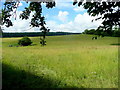 Pasture land of West Gloucestershire