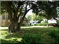 Looking from Church Walk across the churchyard towards St George