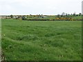 J3636 : Lush cultivated grassland on the east side of Ballybannon Road by Eric Jones